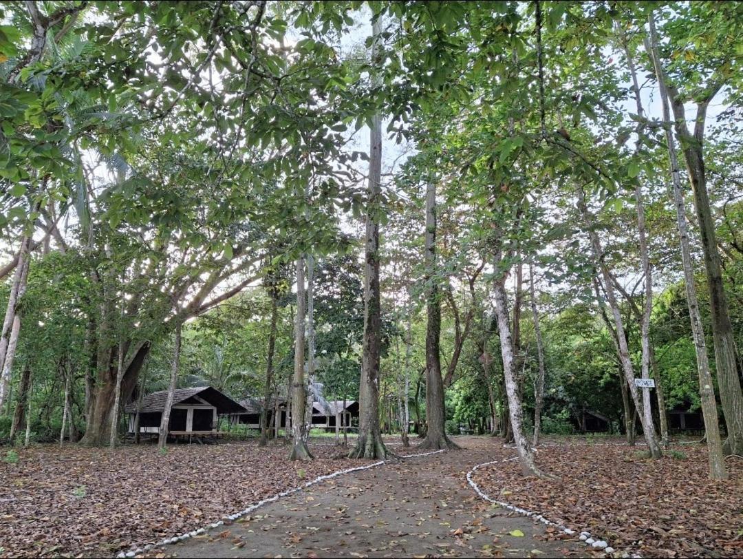Four Monkeys Eco Lodge - Jungle & Beach Cabo Matapalo Esterno foto