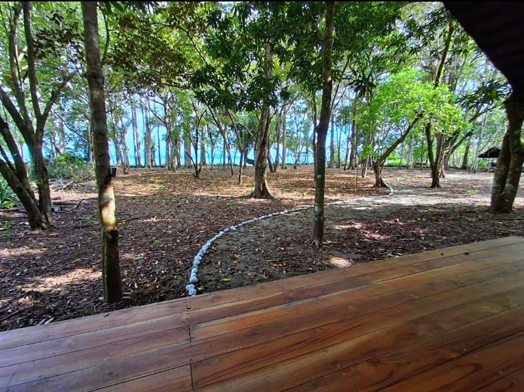 Four Monkeys Eco Lodge - Jungle & Beach Cabo Matapalo Esterno foto